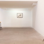 The-blogazine-20131210-jana-sterbak-08