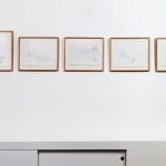 The-blogazine-20131210-jana-sterbak-09