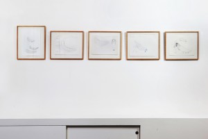 The-blogazine-20131210-jana-sterbak-09