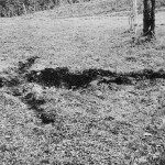 The-blogazine-20131219-tre-mostre-tre-oci-07