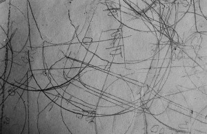 The-blogazine-20131230-year-end-exhibitions-05