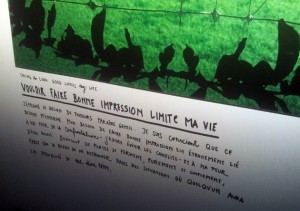 The-blogazine-20140116-sagmeister-07
