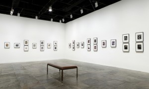 Edward Steichen: A Recent Acquisition at the Whitney Museum