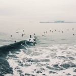 Through the Lens of Ngoc Nguyen from Ashes and Wine