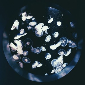 Through the Lens of Ngoc Nguyen from Ashes and Wine