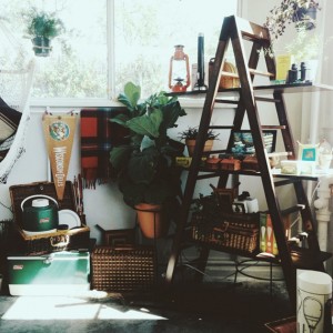 Through the Lens of Ngoc Nguyen from Ashes and Wine