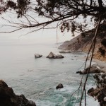 Through the Lens of Ngoc Nguyen from Ashes and Wine