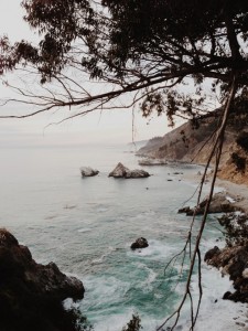Through the Lens of Ngoc Nguyen from Ashes and Wine