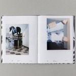 Trix and Robert Haussmann: Manierismo Critico