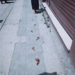 Regina José Galindo | Estoy Viva