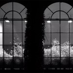 Zimoun | 36 ventilators, 4.7 m3 packing chips