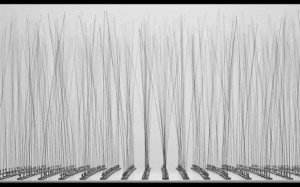 Zimoun | 36 ventilators, 4.7 m3 packing chips