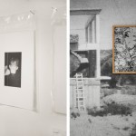 Fotografia Europea 2014 in Reggio Emilia