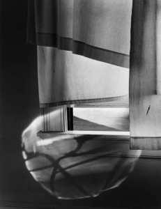 Minor White | Beyond Appearances