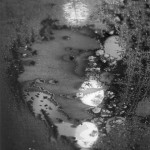 Minor White | Beyond Appearances