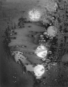 Minor White | Beyond Appearances