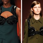 The Evolution of the Bra