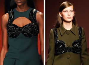 The Evolution of the Bra