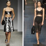 The Evolution of the Bra