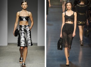 The Evolution of the Bra