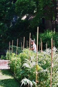 Visiting Milan: Brera Botanical Garden