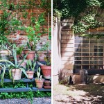 Visiting Milan: Brera Botanical Garden