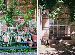 Visiting Milan: Brera Botanical Garden