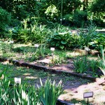 Visiting Milan: Brera Botanical Garden
