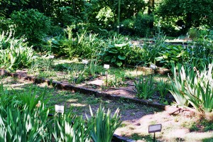 Visiting Milan: Brera Botanical Garden