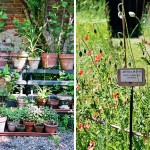 Visiting Milan: Brera Botanical Garden