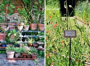Visiting Milan: Brera Botanical Garden
