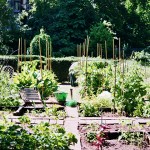 Visiting Milan: Brera Botanical Garden