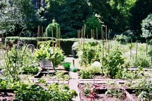 Visiting Milan: Brera Botanical Garden