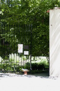 Visiting Milan: Brera Botanical Garden