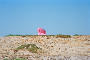 Through the Lens of Charles Lu