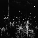Gregory Crewdson And His Perfect, Magic Moments