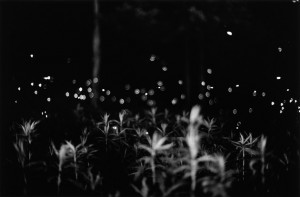 Gregory Crewdson And His Perfect, Magic Moments