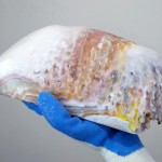 Makers Biennial at MAD in New York