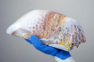 Makers Biennial at MAD in New York