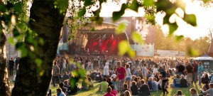 An Excuse For Curiosity: Music Festivals