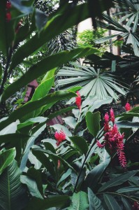 Through the Lens of Salemm