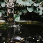 Through the Lens of Salemm