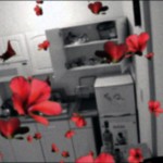 Guest Interview n°57: Raffaella Cortese