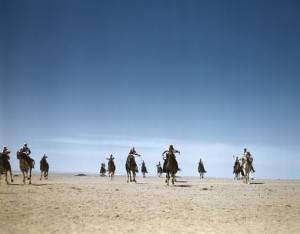 Capa in Color