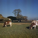 Capa in Color