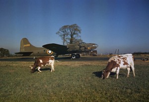 Capa in Color