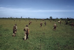 Capa in Color