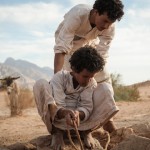 Soft power at 71st Venice Biennale of Cinema