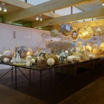 Olafur Eliasson: Riverbed