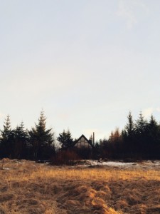 Through the Lens of Carissa Gallo